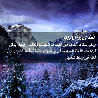 Picture 02 - اَلْعَدَد 5:27 AVD - وَمَتَى سَقَاهَا - Bible Verse Picture