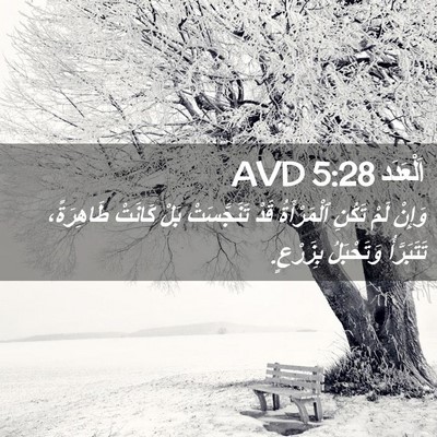 Picture 02 - اَلْعَدَد 5:28 AVD - وَإِنْ لَمْ تَكُنِ - Bible Verse Picture