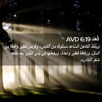 Picture 02 - اَلْعَدَد 6:19 AVD - وَيَأْخُذُ ٱلْكَاهِنُ - Bible Verse Picture