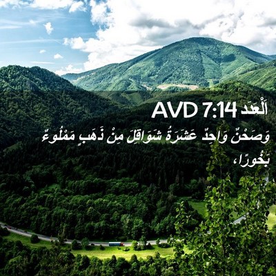 Picture 02 - اَلْعَدَد 7:14 AVD - وَصَحْنٌ وَاحِدٌ عَشَرَةُ - Bible Verse Picture