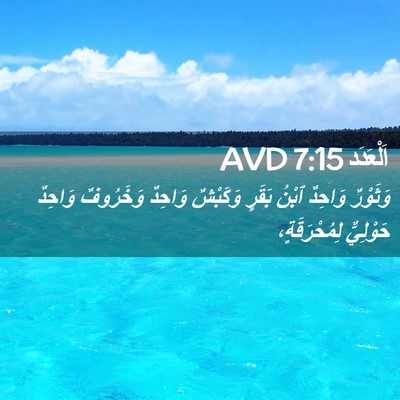 Picture 02 - اَلْعَدَد 7:15 AVD - وَثَوْرٌ وَاحِدٌ ٱبْنُ - Bible Verse Picture