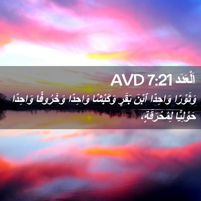 Picture 02 - اَلْعَدَد 7:21 AVD - وَثَوْرًا وَاحِدًا ٱبْنَ - Bible Verse Picture