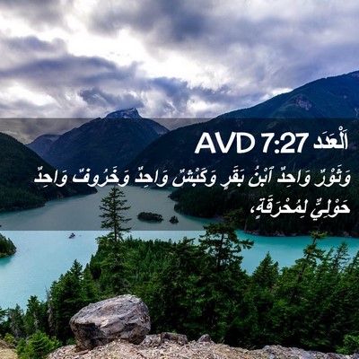 Picture 02 - اَلْعَدَد 7:27 AVD - وَثَوْرٌ وَاحِدٌ ٱبْنُ - Bible Verse Picture