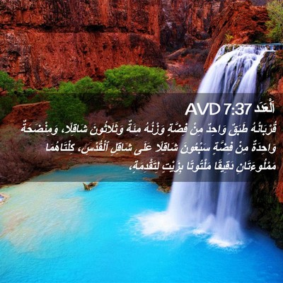 Picture 02 - اَلْعَدَد 7:37 AVD - قُرْبَانُهُ طَبَقٌ - Bible Verse Picture