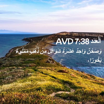 Picture 02 - اَلْعَدَد 7:38 AVD - وَصَحْنٌ وَاحِدٌ عَشَرَةُ - Bible Verse Picture