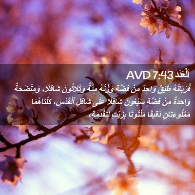 Picture 02 - اَلْعَدَد 7:43 AVD - قُرْبَانُهُ طَبَقٌ - Bible Verse Picture