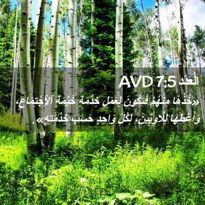 Picture 02 - اَلْعَدَد 7:5 AVD - «خُذْهَا مِنْهُمْ - Bible Verse Picture
