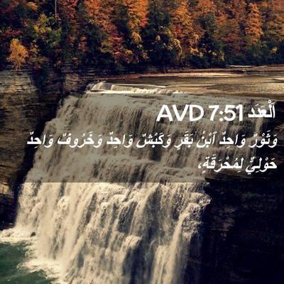 Picture 02 - اَلْعَدَد 7:51 AVD - وَثَوْرٌ وَاحِدٌ ٱبْنُ - Bible Verse Picture