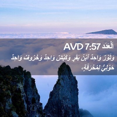 Picture 02 - اَلْعَدَد 7:57 AVD - وَثَوْرٌ وَاحِدٌ ٱبْنُ - Bible Verse Picture