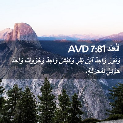 Picture 02 - اَلْعَدَد 7:81 AVD - وَثَوْرٌ وَاحِدٌ ٱبْنُ - Bible Verse Picture