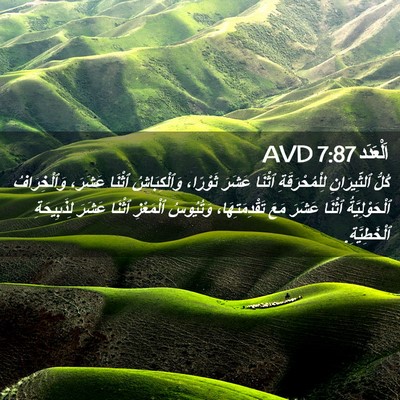 Picture 02 - اَلْعَدَد 7:87 AVD - كُلُّ ٱلثِّيرَانِ - Bible Verse Picture