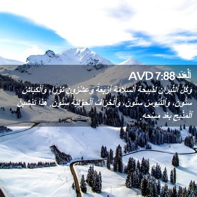 Picture 02 - اَلْعَدَد 7:88 AVD - وَكُلُّ ٱلثِّيرَانِ - Bible Verse Picture