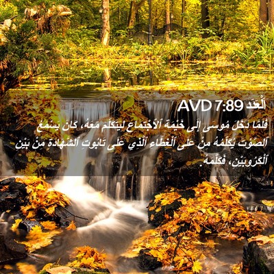 Picture 02 - اَلْعَدَد 7:89 AVD - فَلَمَّا دَخَلَ مُوسَى - Bible Verse Picture