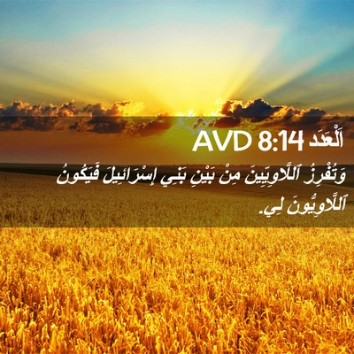 Picture 02 - اَلْعَدَد 8:14 AVD - وَتُفْرِزُ ٱللَّاوِيِّينَ - Bible Verse Picture