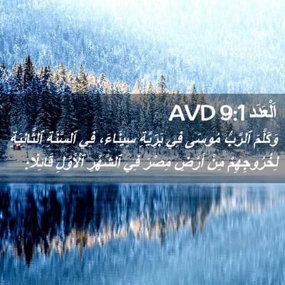 Picture 02 - اَلْعَدَد 9:1 AVD - وَكَلَّمَ ٱلرَّبُّ مُوسَى - Bible Verse Picture