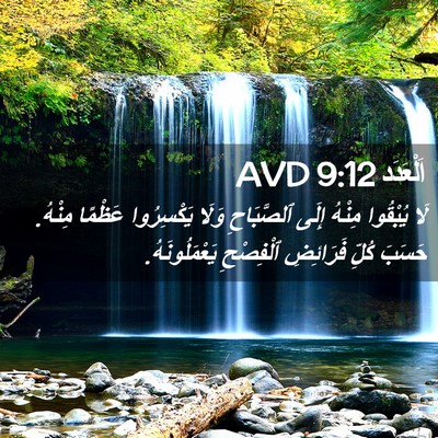 Picture 02 - اَلْعَدَد 9:12 AVD - لَا يُبْقُوا مِنْهُ إِلَى - Bible Verse Picture