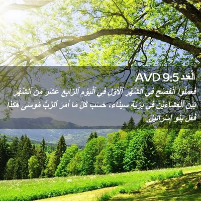 Picture 02 - اَلْعَدَد 9:5 AVD - فَعَمِلُوا ٱلْفِصْحَ فِي - Bible Verse Picture