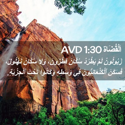 Picture 02 - اَلْقُضَاة 1:30 AVD - زَبُولُونُ لَمْ يَطْرُدْ - Bible Verse Picture