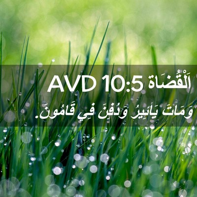 Picture 02 - اَلْقُضَاة 10:5 AVD - وَمَاتَ يَائِيرُ وَدُفِنَ - Bible Verse Picture