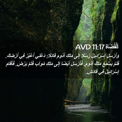 Picture 02 - اَلْقُضَاة 11:17 AVD - وَأَرْسَلَ إِسْرَائِيلُ - Bible Verse Picture