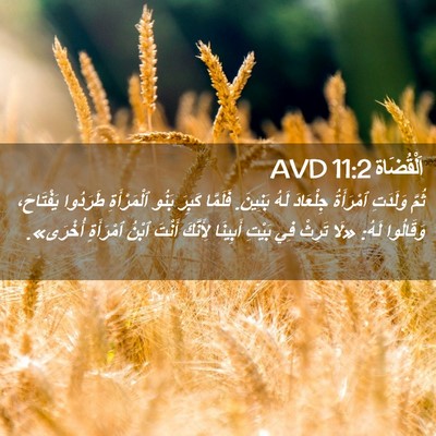 Picture 02 - اَلْقُضَاة 11:2 AVD - ثُمَّ وَلَدَتِ ٱمْرَأَةُ - Bible Verse Picture