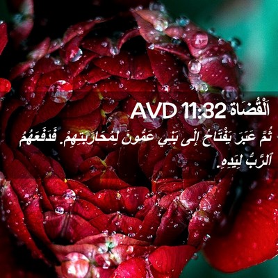 Picture 02 - اَلْقُضَاة 11:32 AVD - ثُمَّ عَبَرَ يَفْتَاحُ - Bible Verse Picture