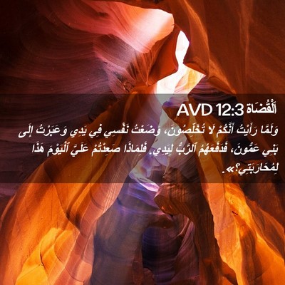 Picture 02 - اَلْقُضَاة 12:3 AVD - وَلَمَّا رَأَيْتُ - Bible Verse Picture