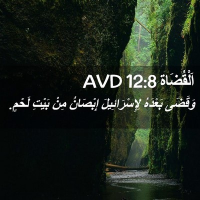 Picture 02 - اَلْقُضَاة 12:8 AVD - وَقَضَى بَعْدَهُ - Bible Verse Picture