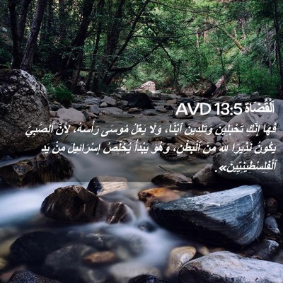 Picture 02 - اَلْقُضَاة 13:5 AVD - فَهَا إِنَّكِ تَحْبَلِينَ - Bible Verse Picture