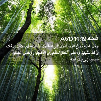 Picture 02 - اَلْقُضَاة 14:19 AVD - وَحَلَّ عَلَيْهِ رُوحُ - Bible Verse Picture