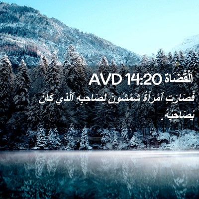Picture 02 - اَلْقُضَاة 14:20 AVD - فَصَارَتِ ٱمْرَأَةُ - Bible Verse Picture