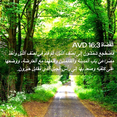Picture 02 - اَلْقُضَاة 16:3 AVD - فَٱضْطَجَعَ شَمْشُونُ - Bible Verse Picture