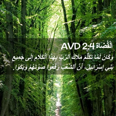 Picture 02 - اَلْقُضَاة 2:4 AVD - وَكَانَ لَمَّا تَكَلَّمَ - Bible Verse Picture