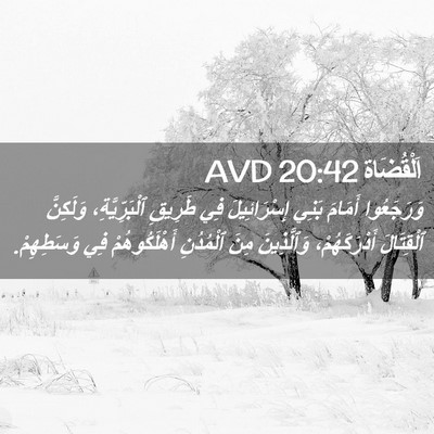 Picture 02 - اَلْقُضَاة 20:42 AVD - وَرَجَعُوا أَمَامَ بَنِي - Bible Verse Picture