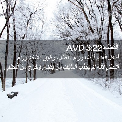 Picture 02 - اَلْقُضَاة 3:22 AVD - فَدَخَلَ ٱلْقَائِمُ - Bible Verse Picture