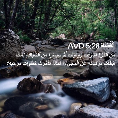Picture 02 - اَلْقُضَاة 5:28 AVD - مِنَ ٱلْكُوَّةِ - Bible Verse Picture