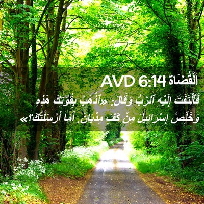 Picture 02 - اَلْقُضَاة 6:14 AVD - فَٱلْتَفَتَ إِلَيْهِ - Bible Verse Picture