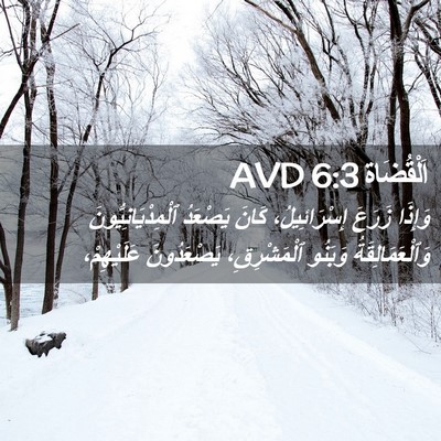 Picture 02 - اَلْقُضَاة 6:3 AVD - وَإِذَا زَرَعَ - Bible Verse Picture