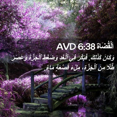 Picture 02 - اَلْقُضَاة 6:38 AVD - وَكَانَ كَذَلِكَ. - Bible Verse Picture