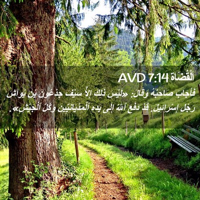 Picture 02 - اَلْقُضَاة 7:14 AVD - فَأَجَابَ صَاحِبُهُ - Bible Verse Picture