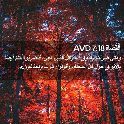 Picture 02 - اَلْقُضَاة 7:18 AVD - وَمَتَى ضَرَبْتُ - Bible Verse Picture