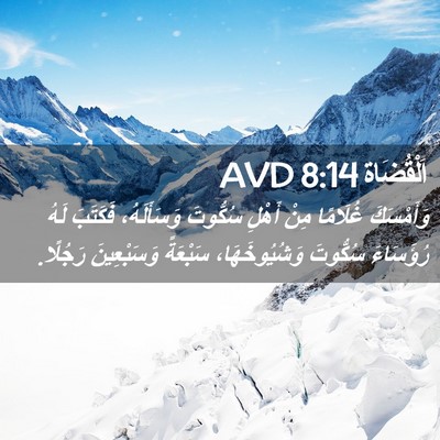 Picture 02 - اَلْقُضَاة 8:14 AVD - وَأَمْسَكَ غُلَامًا مِنْ - Bible Verse Picture