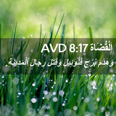 Picture 02 - اَلْقُضَاة 8:17 AVD - وَهَدَمَ بُرْجَ - Bible Verse Picture
