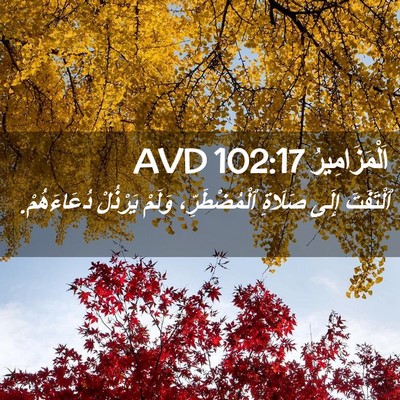 Picture 02 - اَلْمَزَامِيرُ 102:17 AVD - ٱلْتَفَتَ إِلَى صَلَاةِ - Bible Verse Picture