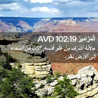 Picture 02 - اَلْمَزَامِيرُ 102:19 AVD - «لِأَنَّهُ أَشْرَفَ مِنْ - Bible Verse Picture