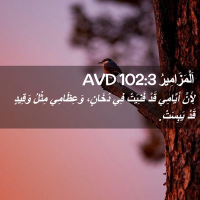 Picture 02 - اَلْمَزَامِيرُ 102:3 AVD - لِأَنَّ أَيَّامِي قَدْ - Bible Verse Picture