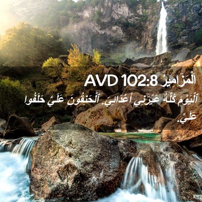 Picture 02 - اَلْمَزَامِيرُ 102:8 AVD - ٱلْيَوْمَ كُلَّهُ - Bible Verse Picture
