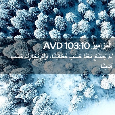 Picture 02 - اَلْمَزَامِيرُ 103:10 AVD - لَمْ يَصْنَعْ مَعَنَا - Bible Verse Picture