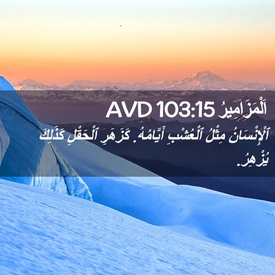 Picture 02 - اَلْمَزَامِيرُ 103:15 AVD - ٱلْإِنْسَانُ مِثْلُ - Bible Verse Picture