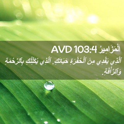 Picture 02 - اَلْمَزَامِيرُ 103:4 AVD - ٱلَّذِي يَفْدِي مِنَ - Bible Verse Picture